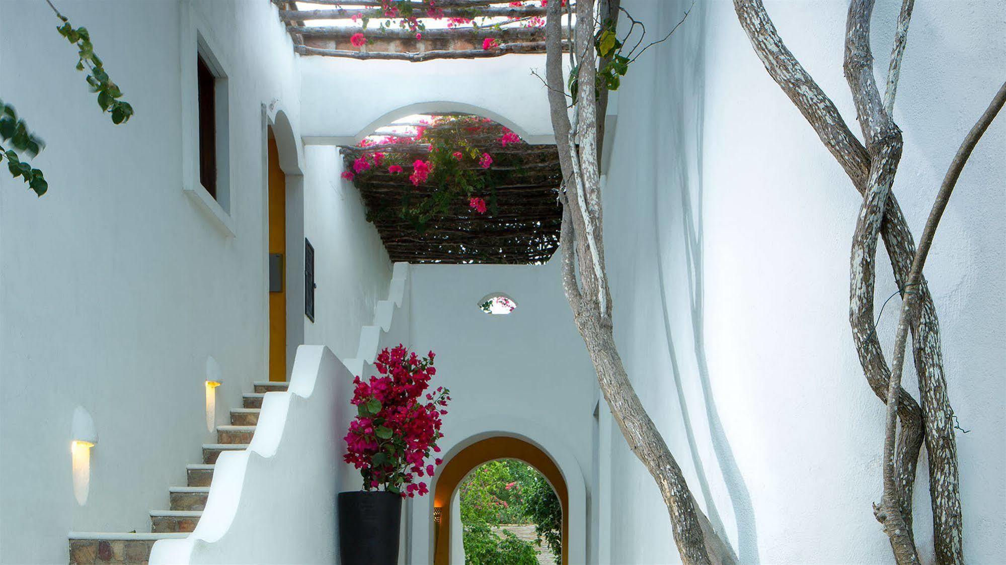 My Blue Hotel Jijoca de Jericoacoara Dış mekan fotoğraf